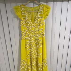 BCBGMAXAZRIA Floral Embroidered V Neck Tulle gown